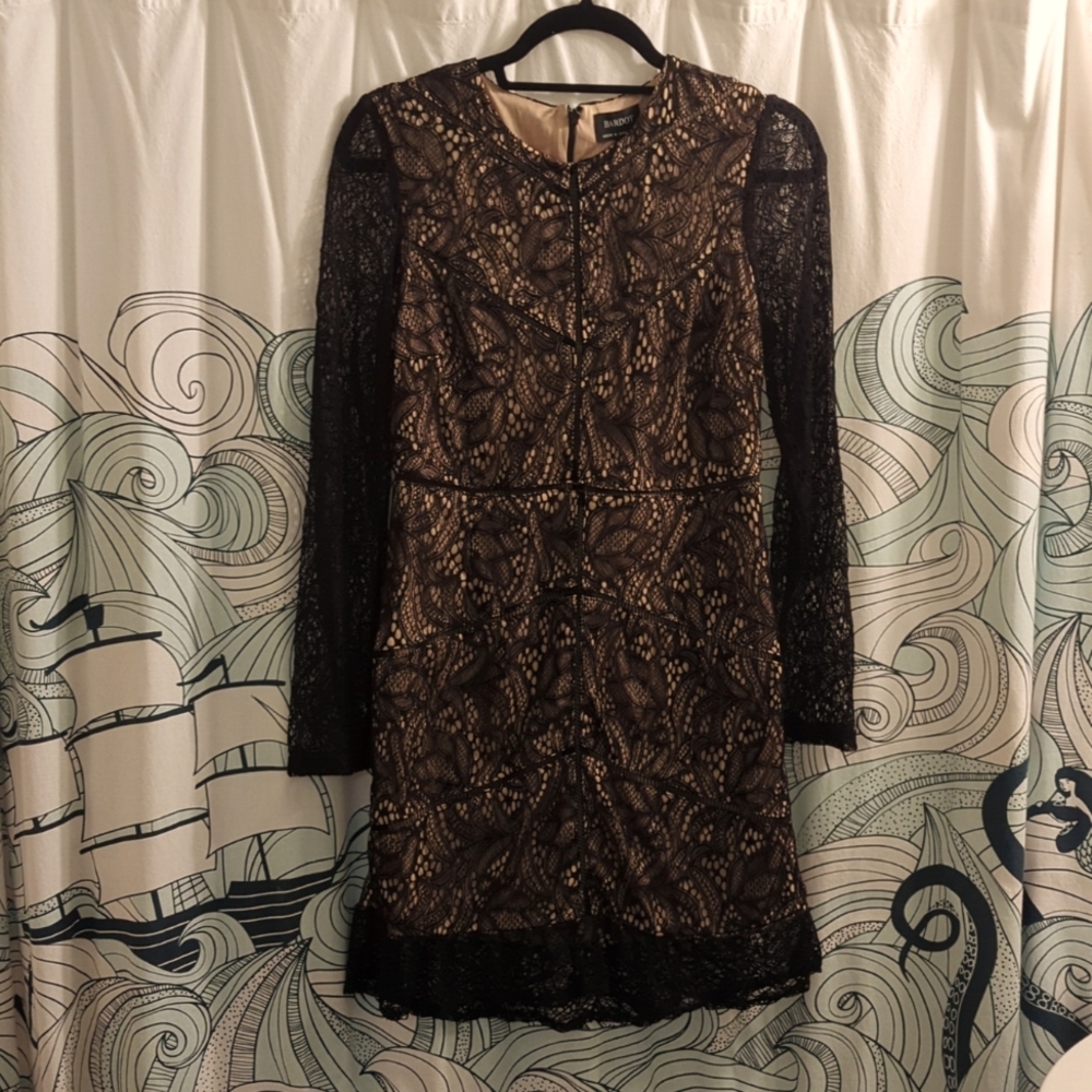 Bardot Long Sleeve Lace Dress With Nude Lining
